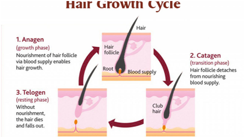 Why do we need at least 3 treatments for hair removal Newangie