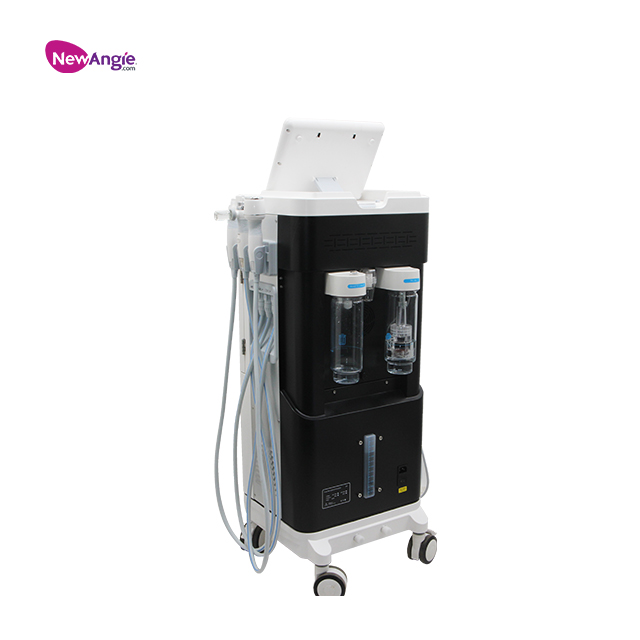 Newangie® Vertical 6 IN 1 Hydra Facial Machine - G882A-3S
