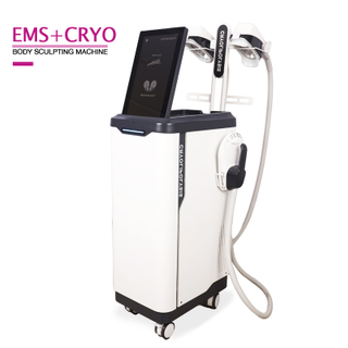 2 in 1 Ems+cryo Multifunctional Coolsculpting Machine for Muscle Building And Fat Reduction