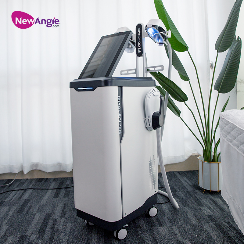 Innovative Coolsculpting Machine for Hot Sale 360° Degree Cooling Electromagnetic Muscle Gain Salon Emsculpt Machine EMS17