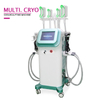 360 Degree Cryolipolysis Slimming Machine for Fat Reduction ETG50-7S