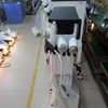 Newangie® Multifunction Oxygen Machine - SPA10E